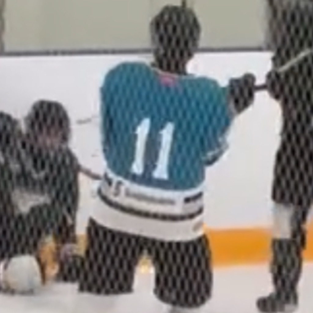 AppleMusic profile picture for @hockey