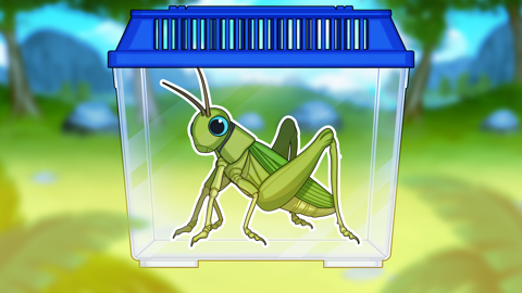 Read more about Insect Exploration Log!