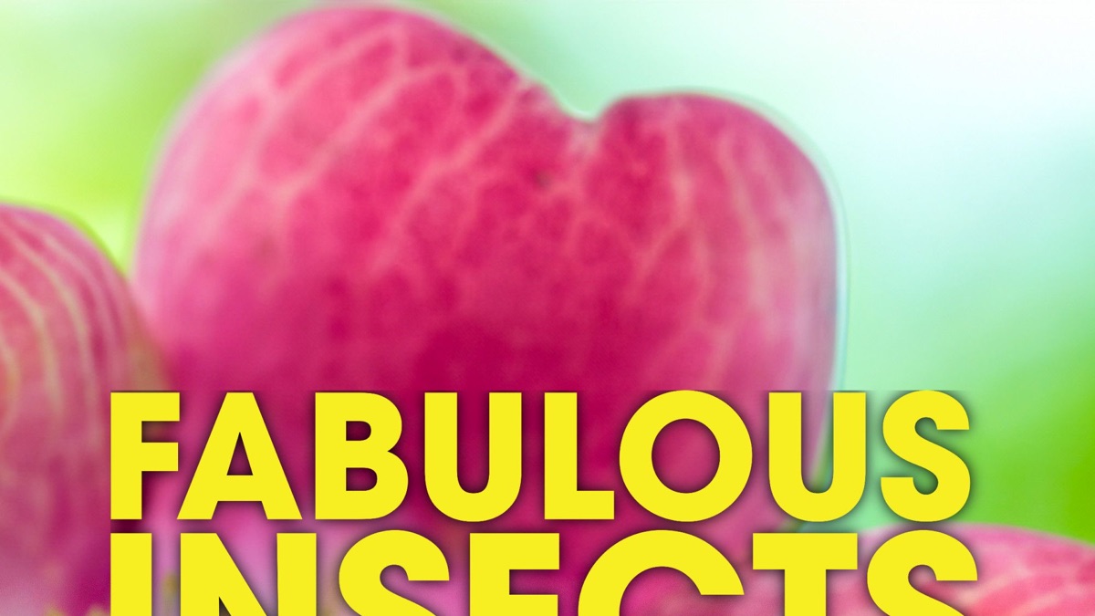 ‎Fabulous Insects - Apple TV