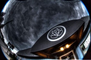 Black Lotus Tattoo Studios photo 7