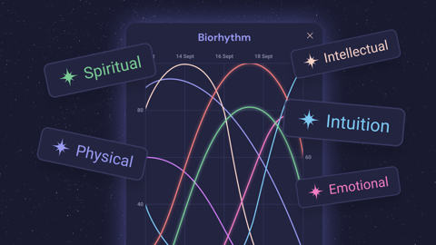 Read more about Personal Biorhythm Calculator