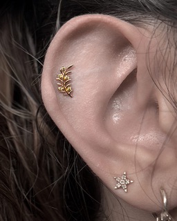 Kadawerr Piercing tattoo studio photo