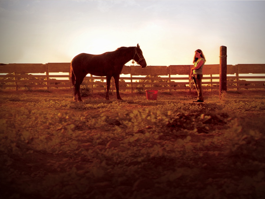 Wild Horse Wild Ride - Apple TV (NZ)