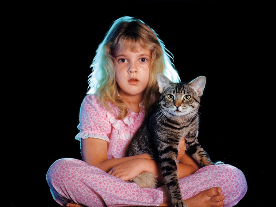 Stephen King's Cat's Eye Apple TV