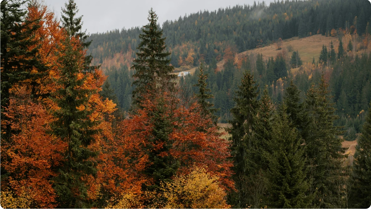 AllTrails: Hike, Bike & Run search result, In-app event: Fall Foliage