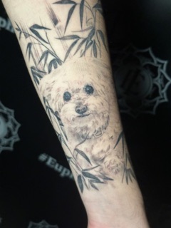 Euphoria Ink Tattoo Studio
