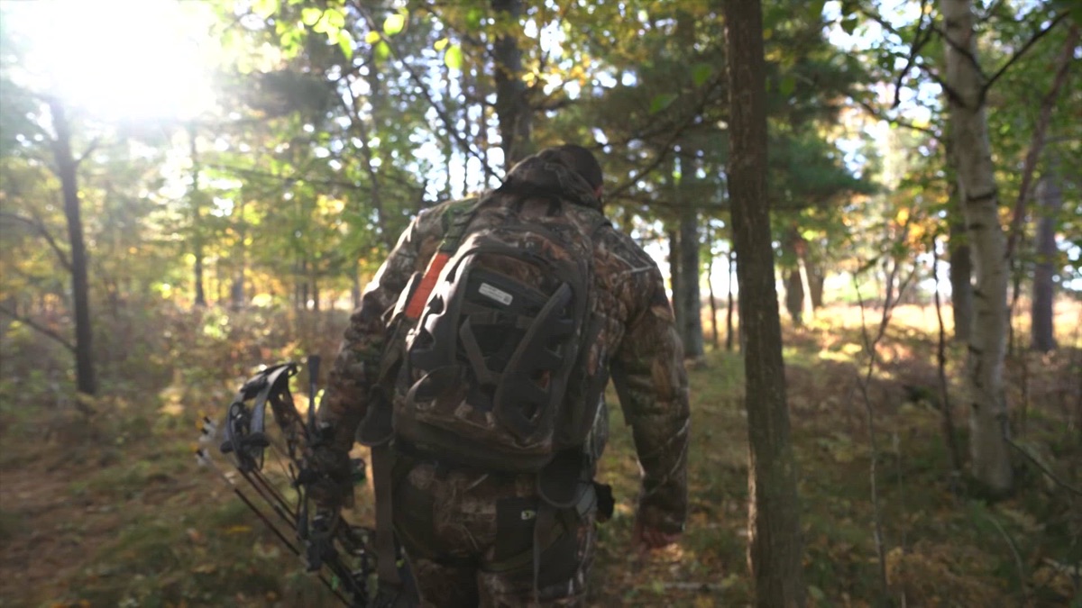 Wisconsin Wins - Part 2 - Backwoods Life (Season 19, Episode 2) - Apple TV