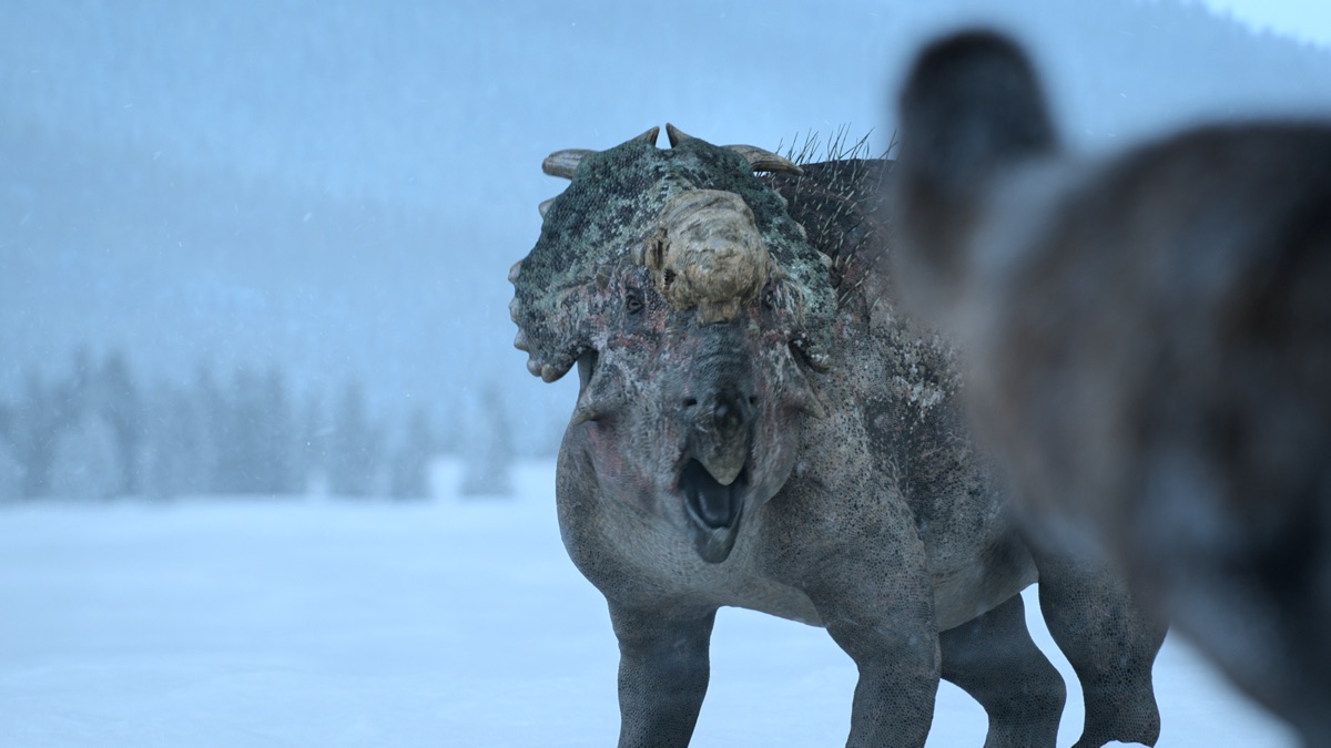 Watch Expect The Unexpected Apple Tv Au