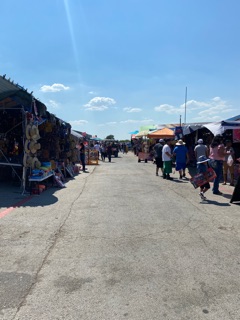 La Pulgaseagoville