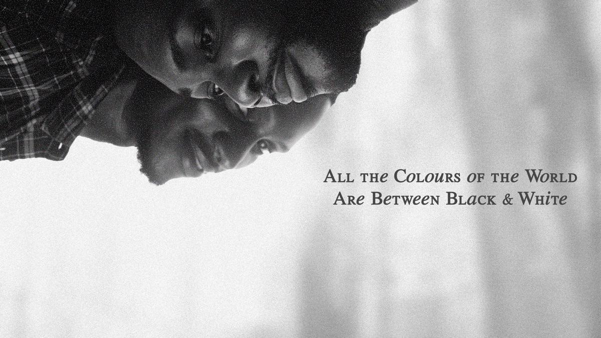 ‎All the Colours of the World Are Between Black and White - Apple TV