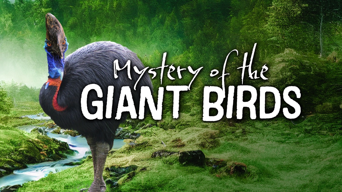 ‎The Mystery of the Giant Birds - Apple TV
