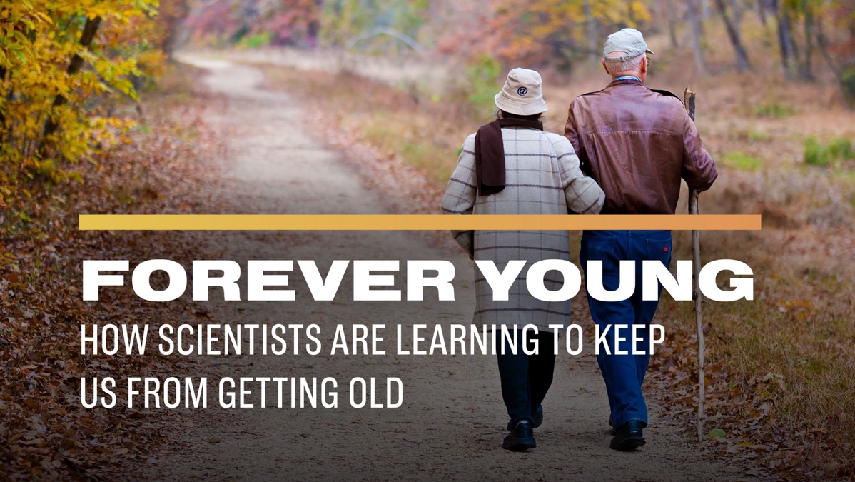 ‎Forever Young How Scientists Are Learning to Keep Us From Getting Old
