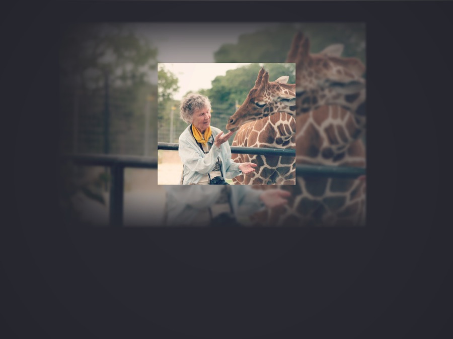 The Woman Who Loves Giraffes - Apple TV (CA)