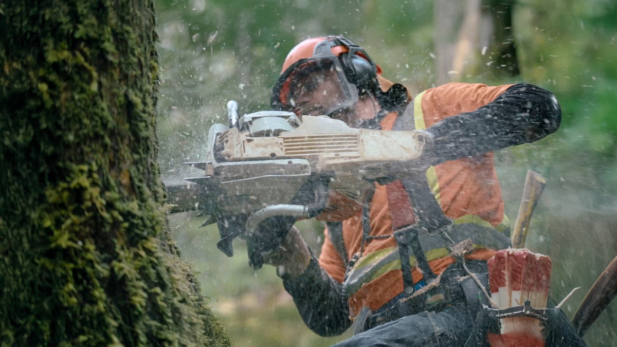 Shut It Down - The Last Woodsmen (Season 1, Episode 9