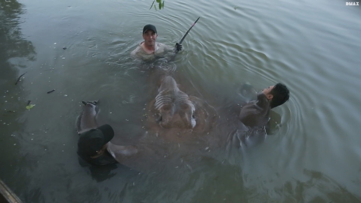 ‎Dagger Devil – Chasing Monsters (Season 2, Episode 1) - Apple TV (CA)