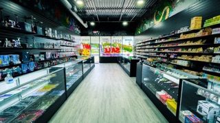 elf bar vape uk FREE SMOKE VAPE AND SMOKE SHOP - Updated May 2026 - 12001 NW 7th Ave, Miami  Shores, Florida - Tobacco Shops - Phone Number main image 0