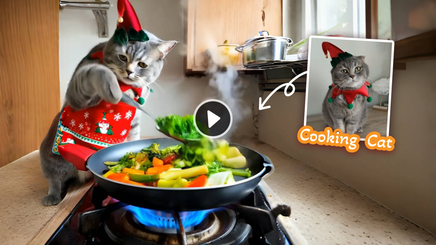 The cooking cat. Major Update