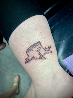 The Hidden Tattoo tattoo studio in Sylacauga