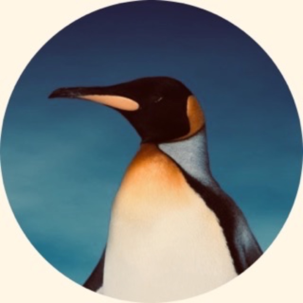 AppleMusic profile picture for @cadet