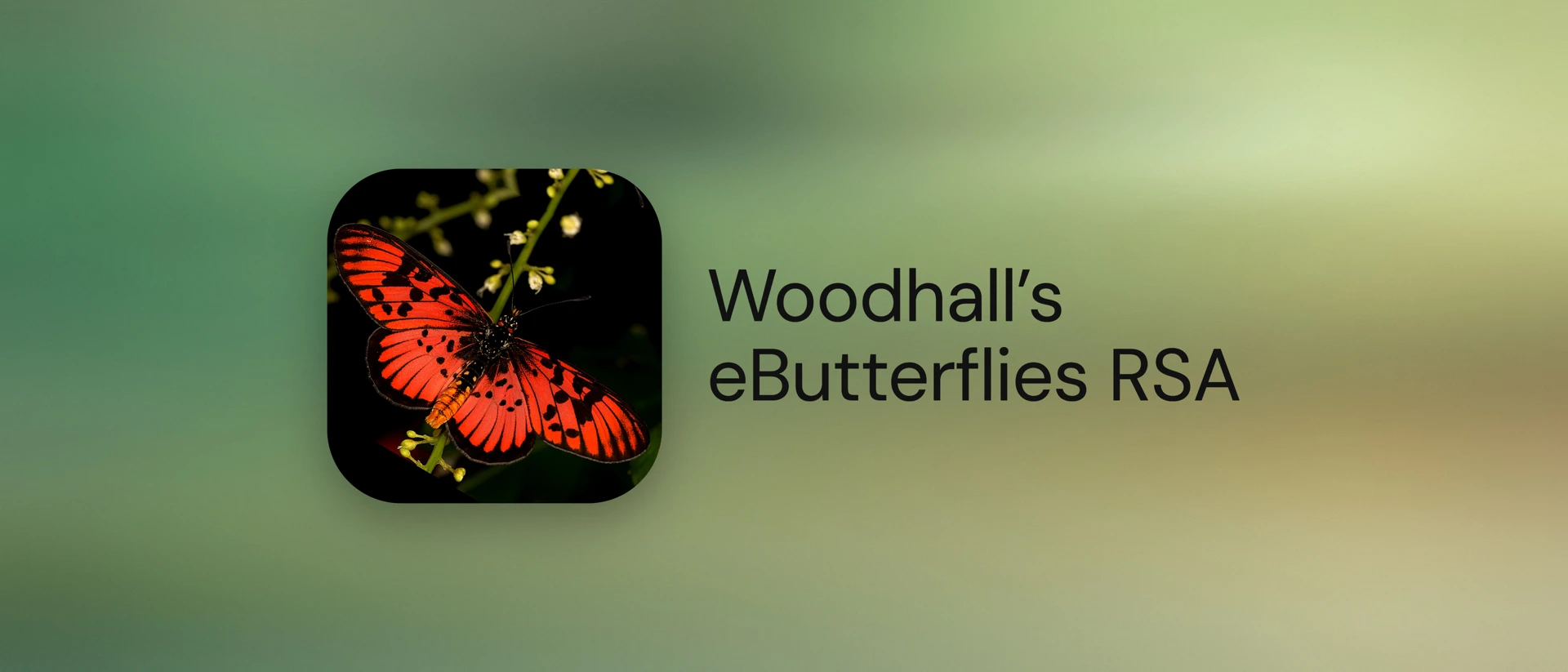 Woodhall’s eButterflies RSA product page header