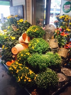 Blume 2000 in Frankfurt, Germany - Apple Maps