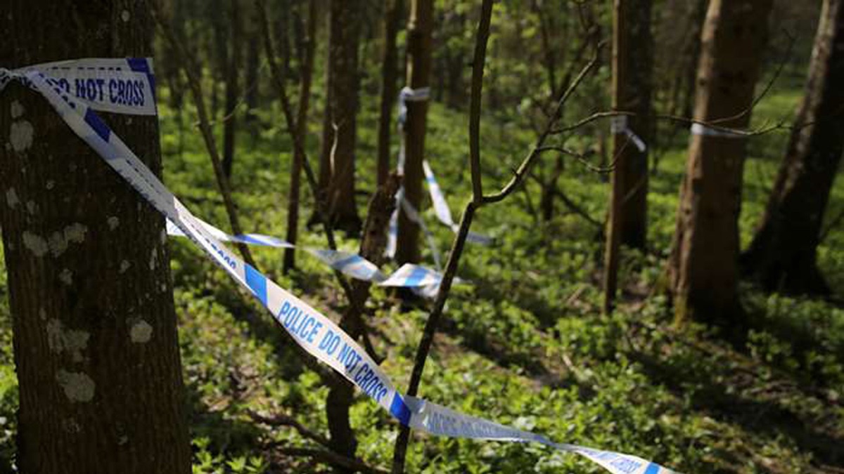 Bathtub of Bleach How I Caught The Killer (Season 1, Episode 3) Apple TV