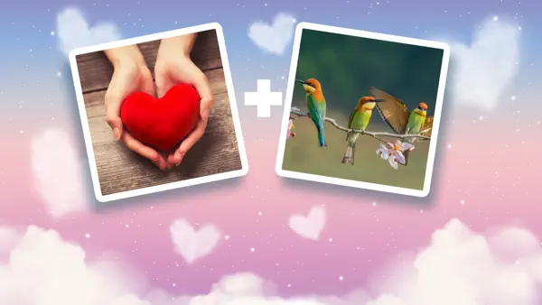 Match Made in Heaven