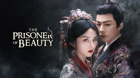 Read more about The Prisoner of Beauty