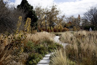 聖道   作       「自然の園」 Conservation Garden Park in West Jordan, UT United States - Apple Maps