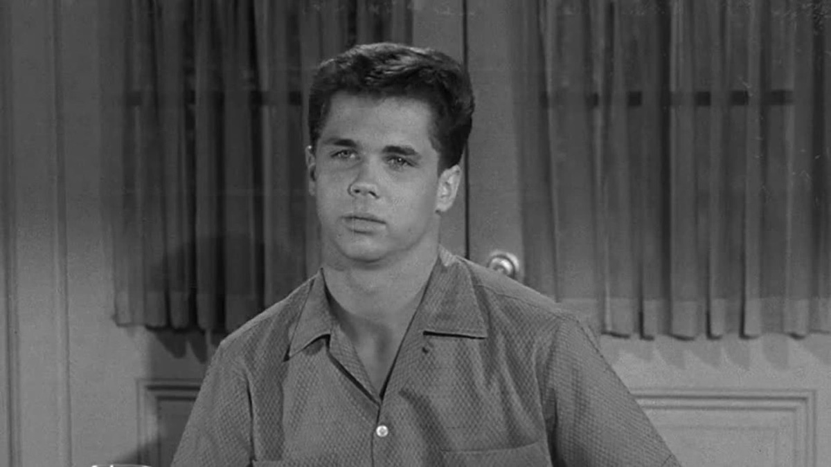 Mothers Helper - Leave It to Beaver (Season 4, Episode 23) - Apple TV