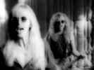 Where You Goin' Now - Damn Yankees