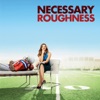 Necessary Roughness