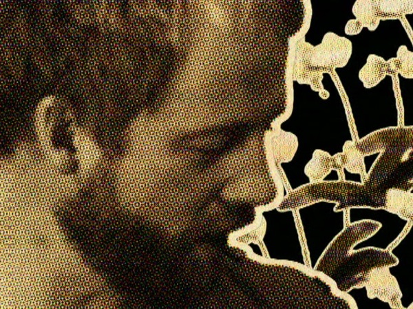 The Cynic artwork