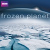 Frozen Planet