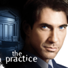 Pilot - The Practice