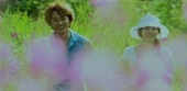 Video artwork for どうすれば（韓国ドラマ「夏の香り」挿入歌） by ソ・ジニョン