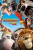icone application Animaux & Cie