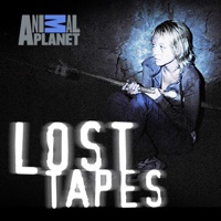 Lost Tapes, Season 3