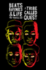 Beats, Rhymes & Life: The Travels of A Tribe Called Quest - Michael Rapaport