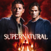 Supernatural, Staffel 5 - Supernatural