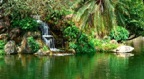 Relax at the Spa - Gentle Waterfall In Tropical Surroundings With Music for Relaxing and Meditation