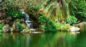 Video artwork for Relax at the Spa - Gentle Waterfall In Tropical Surroundings With Music for Relaxing and Meditation by Nature Sounds