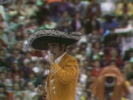 A Pesar de Todo - Vicente Fernández