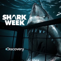 Shark Week, 2011