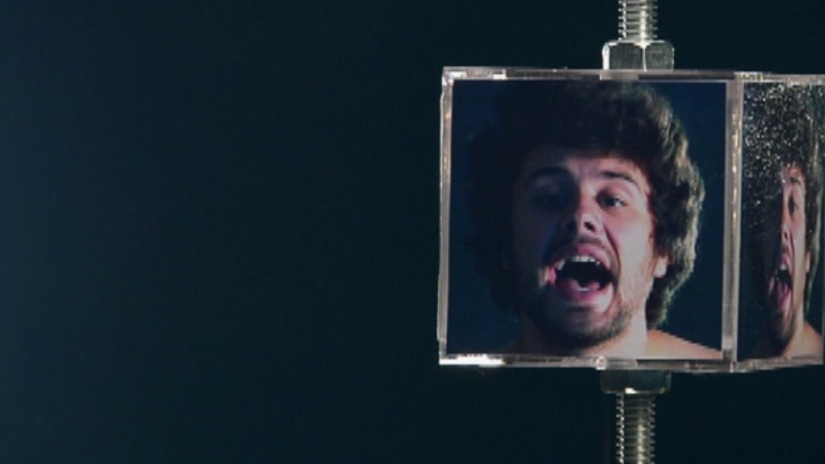 The Reeling - Music Video by Passion Pit - Apple Music