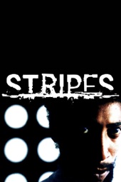 Poster for Stripes by Shorts International