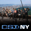 CSI: NY, Season 5 - CSI: NY Cover Art