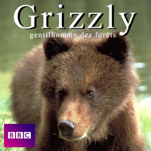 Grizzly gentilhomme des forêts - Episode 1