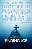 Finding Joe
