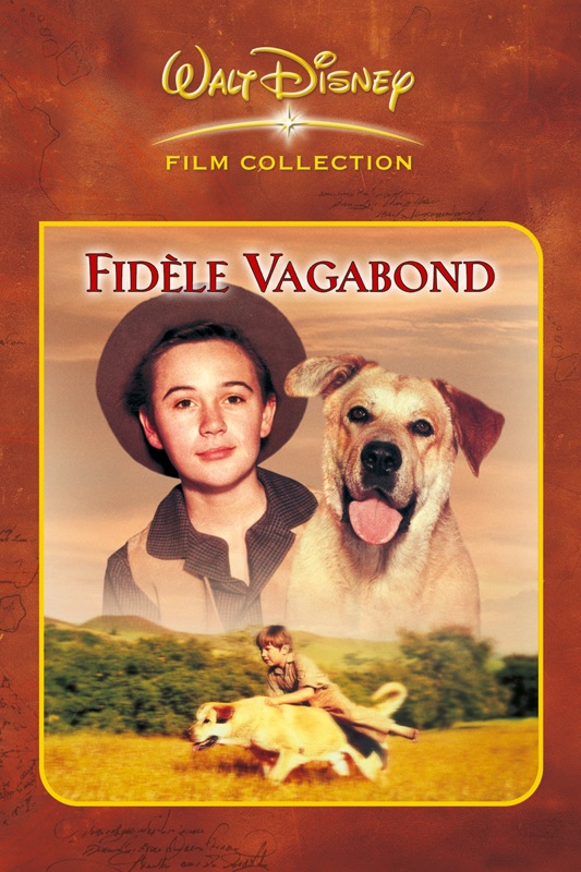 Fidèle vagabond